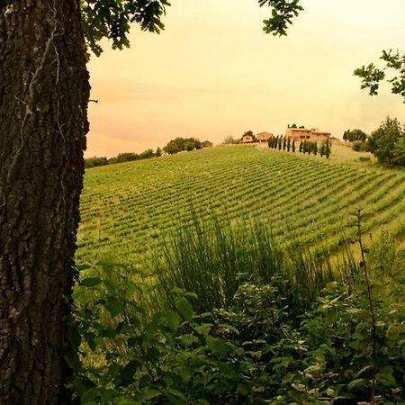 Casali Di Casole - Timbers Tuscany Casole dʼElsa Exterior foto